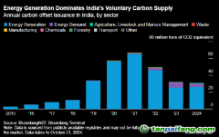 报告：印度碳市场面临未使用能源碳信用过剩的风险